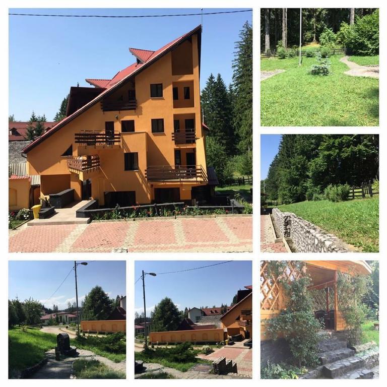 Pensiunea Mihaela Poiana Brasov Buitenkant foto