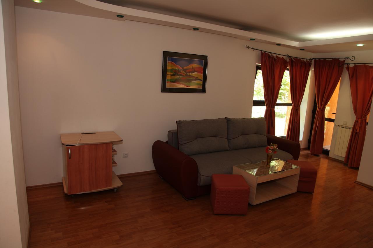 Pensiunea Mihaela Poiana Brasov Buitenkant foto