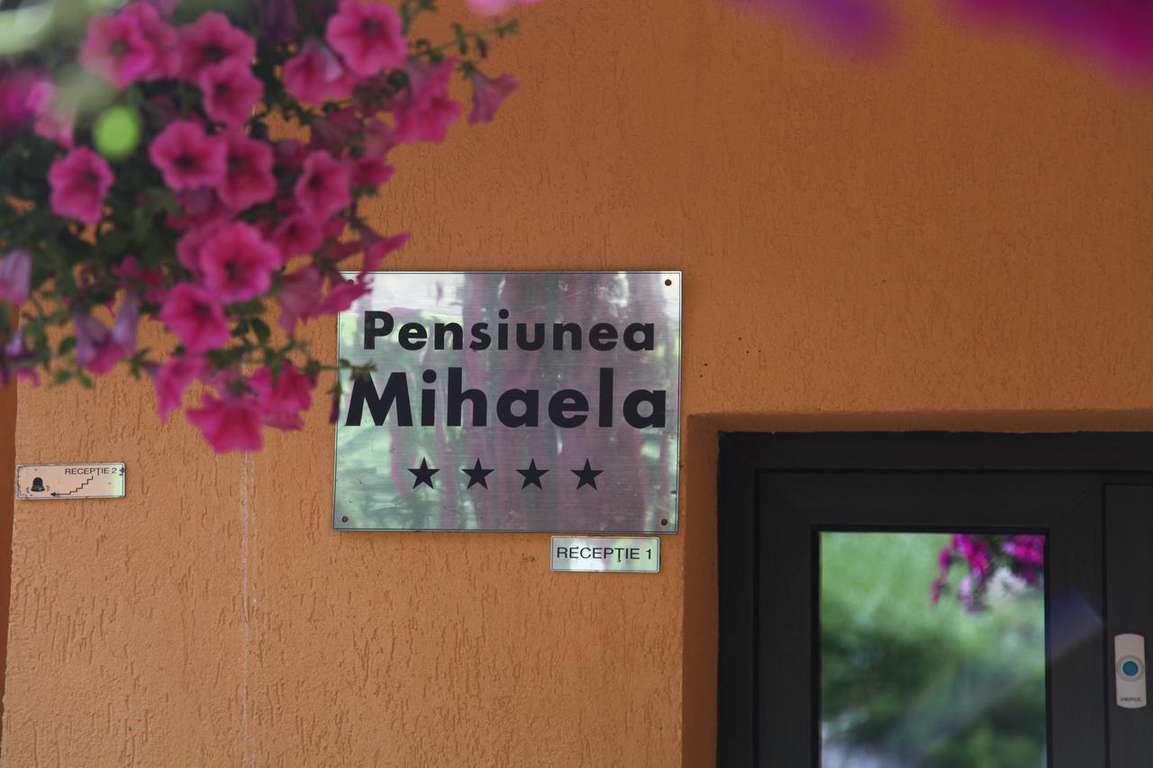 Pensiunea Mihaela Poiana Brasov Buitenkant foto