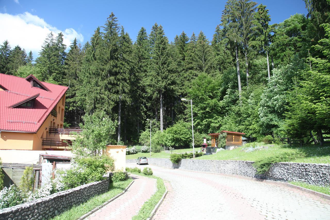 Pensiunea Mihaela Poiana Brasov Buitenkant foto